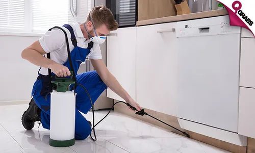Pest Control Treatment!